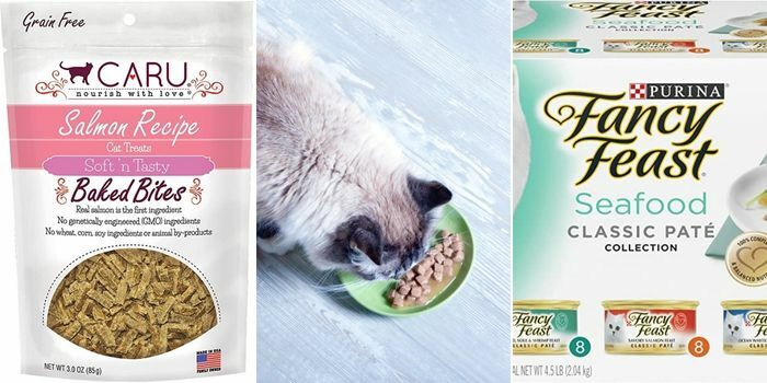 Best grain free cat hotsell food for picky eaters