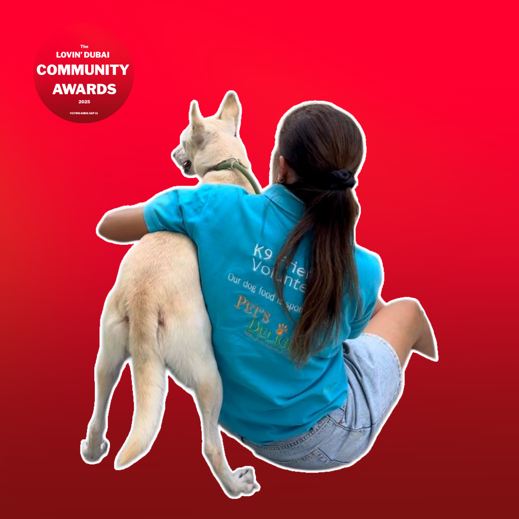 K9 Friends, Volunteer rescue group, a shelter that rescues abandoned dogs