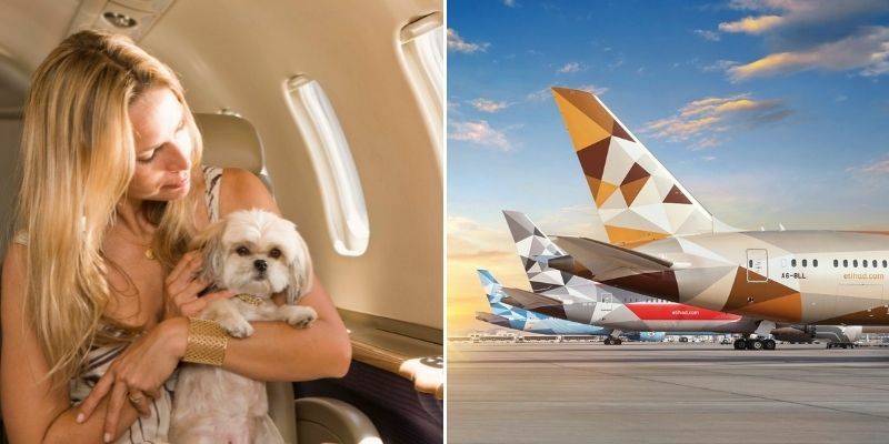 Etihad pets