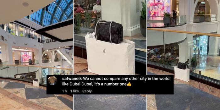 Apple And Louis Vuitton Bags Were Left Unattended In A Mall And The ...