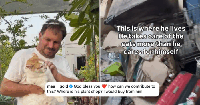 Pet-Lovers Community Came Together To Help A Resident Who Shelters 60+ Cats