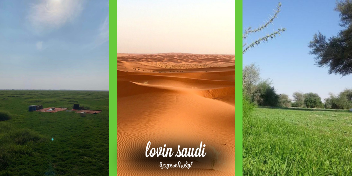 أرهب 5 وجهات برية بالرياض 2026