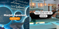 sharjah aquarium