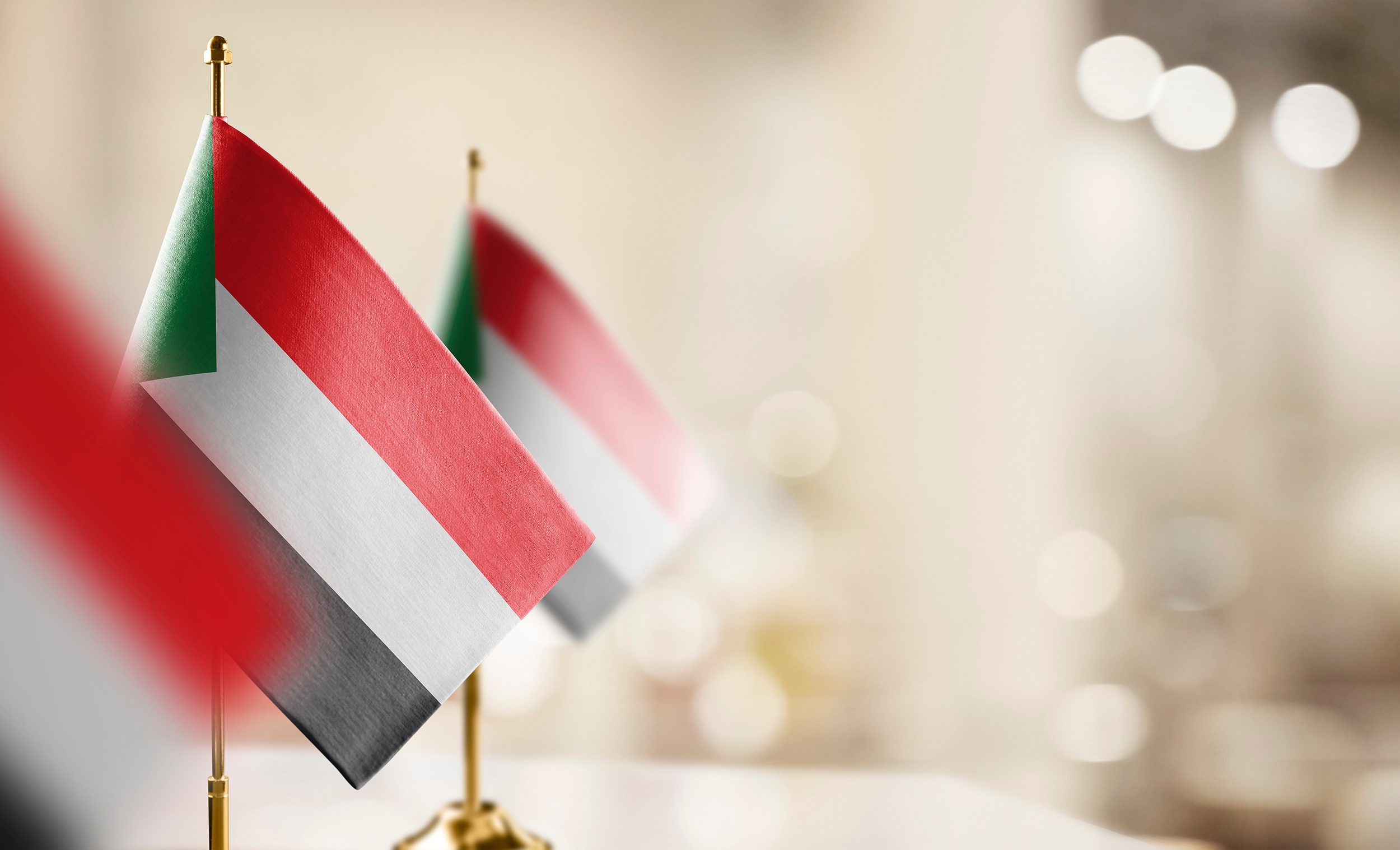UAE flag with Sudanese citizens in the background