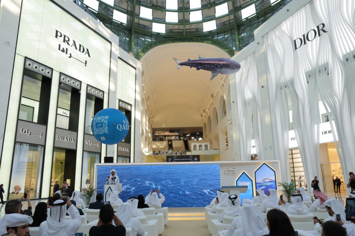 Whale Sharks of Qatar Tours Made Their Return