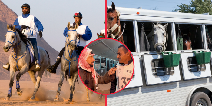 Have You Ever Seen a Jordanian Horse on the Road Like This?