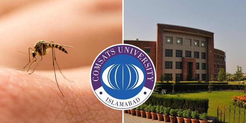 COMSATS Students To Use Mosquitoes As Flying Vaccines