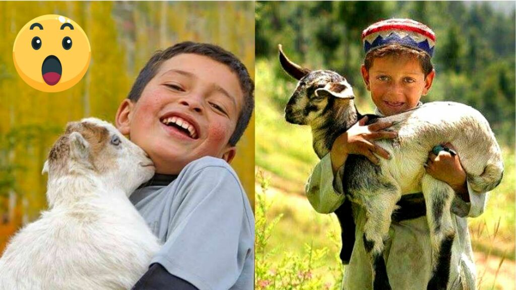 Special Course On Animal Welfare To Be Taught In Schools Of Islamabad