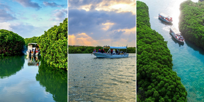 This Natural Maze In Farasan Island Will Blow Your Mind