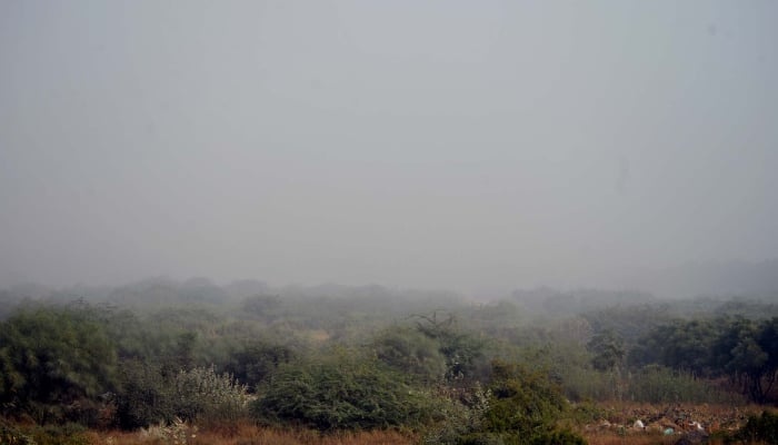 View of foggy weather on early morning during winter season, captured over the horizon of Karachi on Sunday, December 21, 2025. — PPI