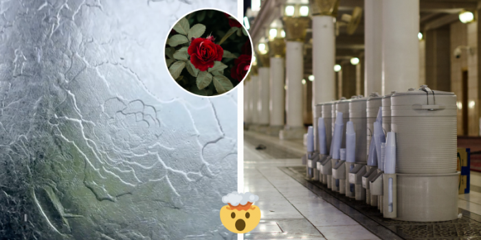 Someone Discovered A Stunning Rose Design When Freezing Zamzam Water