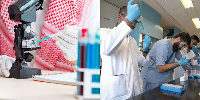Saudi Brilliance Goes Global: 14 Saudi University Researchers Ranked Among World’s Top Scientists