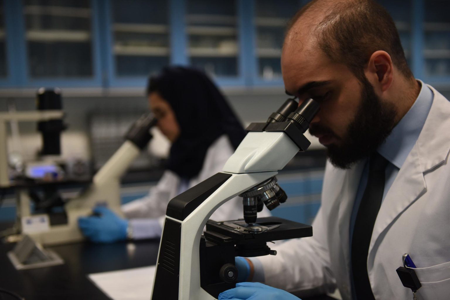 Saudi Brilliance Goes Global: 14 Saudi University Researchers Ranked Among World’s Top Scientists 