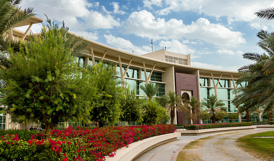 Saudi Brilliance Goes Global: 14 Saudi University Researchers Ranked Among World’s Top Scientists 